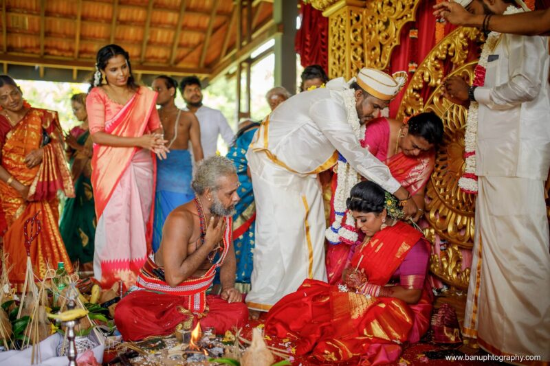 thinnai organic farm wedding