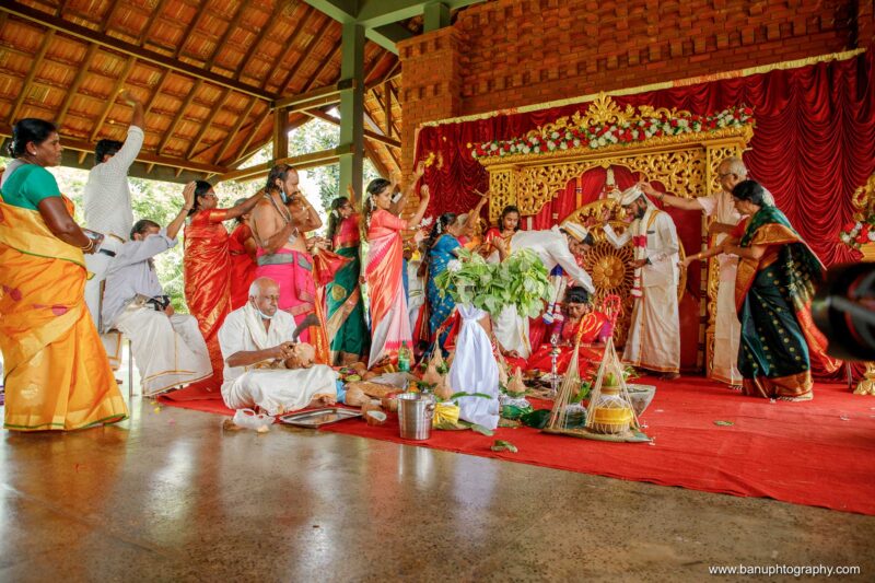 thinnai organic farm wedding