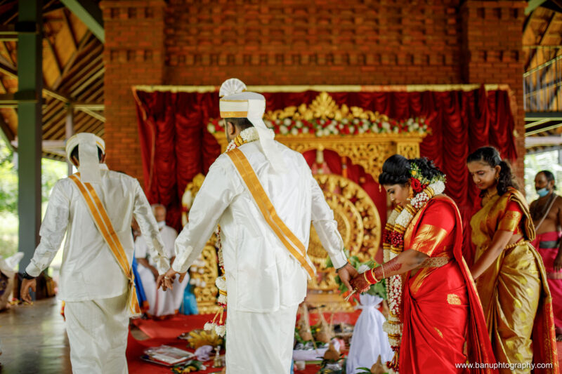 thinnai organic farm wedding