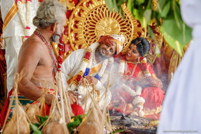 thinnai organic farm wedding