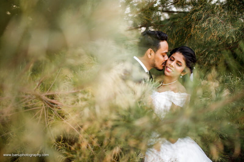 jaffna wedding photography