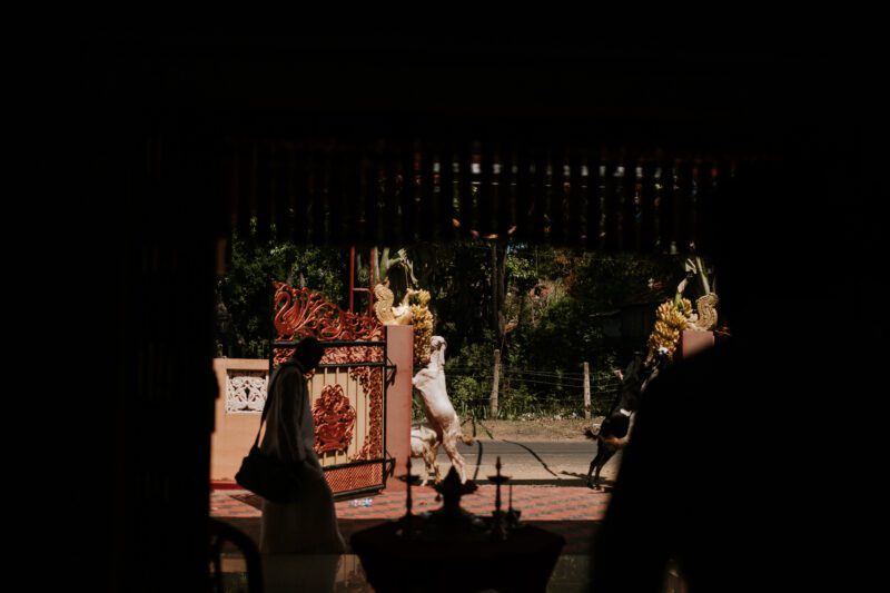 best jaffna wedding photographer