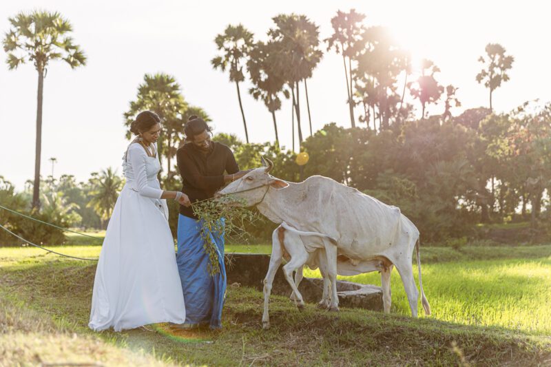 Bride and groom Kobe and Ramya walking hand in hand at Jaffna Fort, with the historic stone walls and ocean backdrop. Romantic post-wedding shoot by Banu Photography.